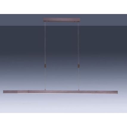 Paul Neuhaus 2568-24 - LED dimmelhető csillár zsinóron ADRIANA LED/14W/230V 2700-5000K