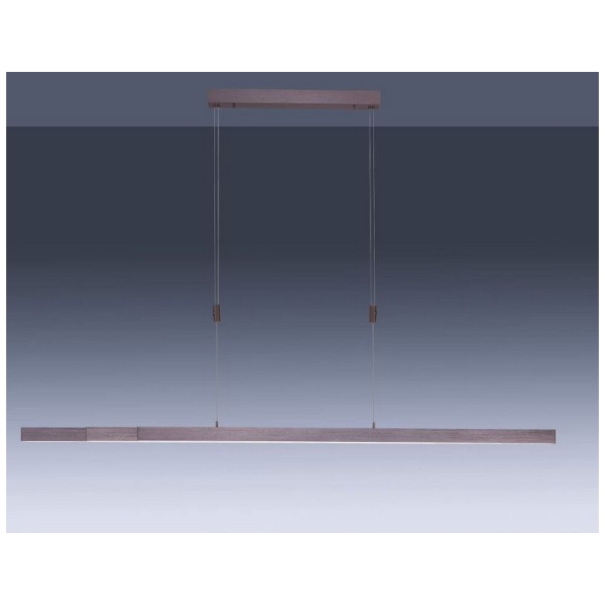 Paul Neuhaus 2568-24 - LED dimmelhető csillár zsinóron ADRIANA LED/14W/230V 2700-5000K