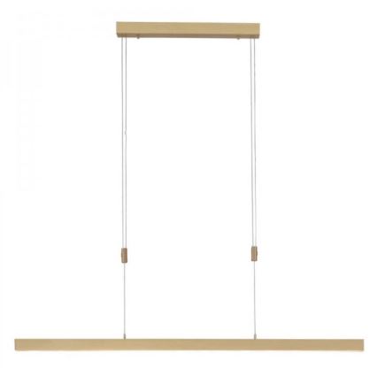 Paul Neuhaus 2568-60 - LED dimmelhető csillár zsinóron ADRIANA LED/14W/230V  2700-5000K réz