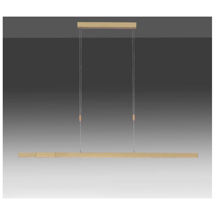 Paul Neuhaus 2568-60 - LED dimmelhető csillár zsinóron ADRIANA LED/14W/230V  2700-5000K réz