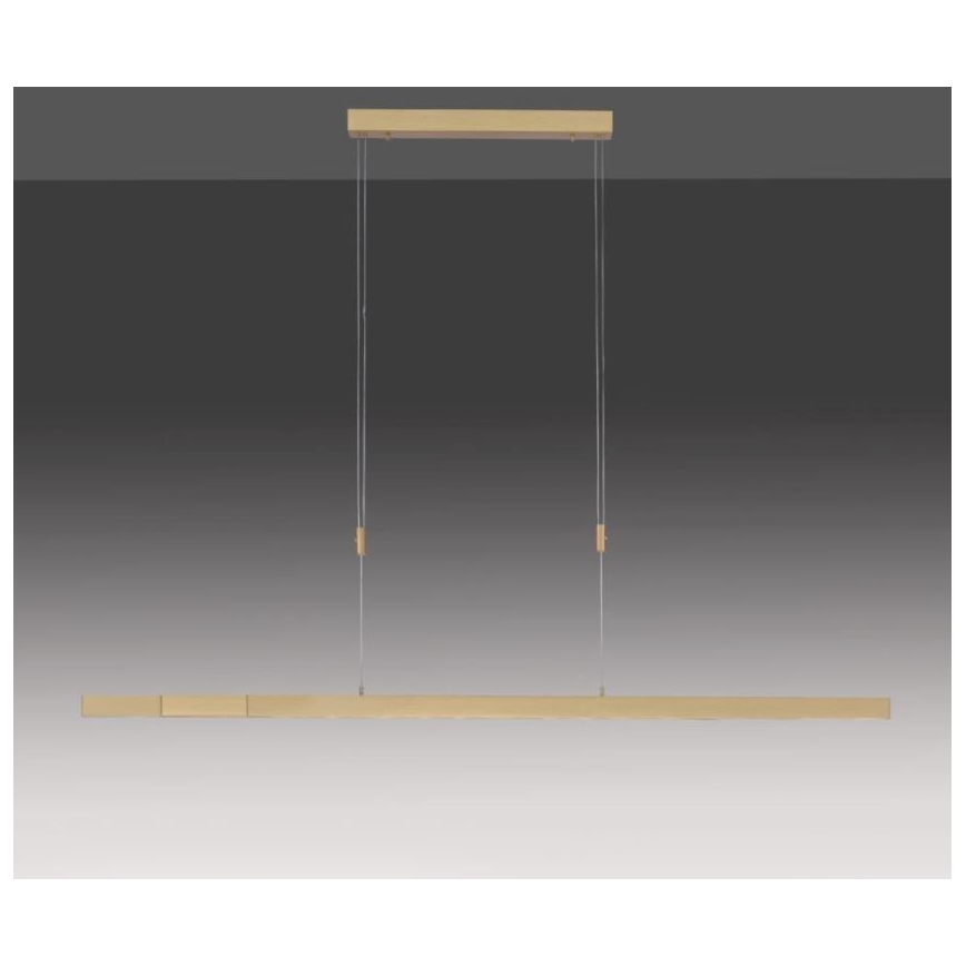 Paul Neuhaus 2568-60 - LED dimmelhető csillár zsinóron ADRIANA LED/14W/230V  2700-5000K réz