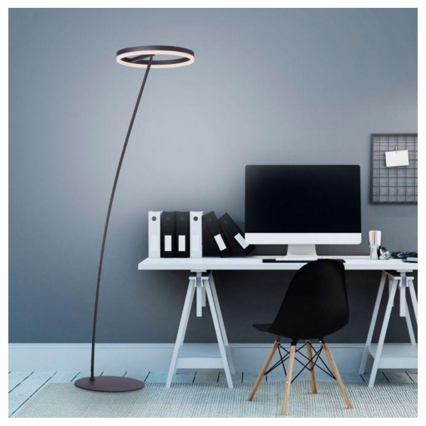 Paul Neuhaus 381-13 - LED Dimmelhető állólámpa TITUS LED/19,5W/230V