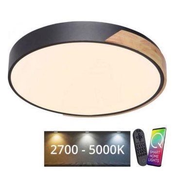 Paul Neuhaus 6071-18 - LED dimmelhető mennyezeti lámpa Q-PIATO LED/35W/230V átm. 51 cm 2700-5000K Wi-Fi + távirányító