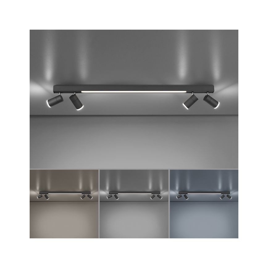 Paul Neuhaus 6121-13 - PURE LED dimmelhető spotlámpa 4xLED/4W/230V + LED/9W 2700-5000K + távirányító