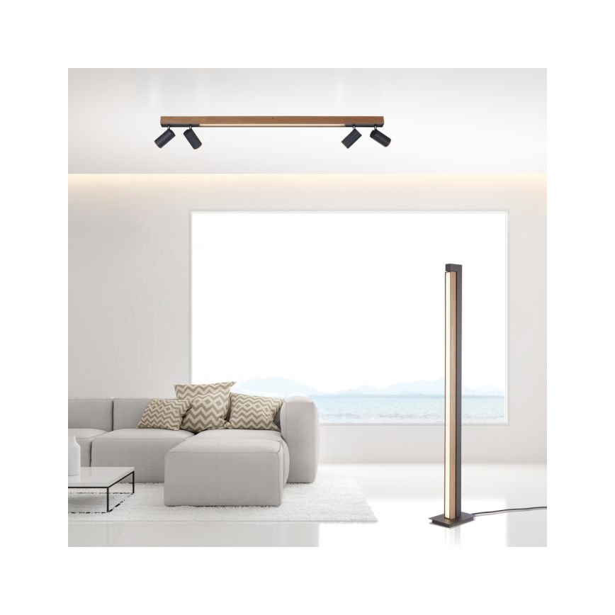 Paul Neuhaus 6121-79 - LED Dimmelhető spotlámpa PURE 4xLED/4W/230V + LED/9W 2700-5000K + távirányítás