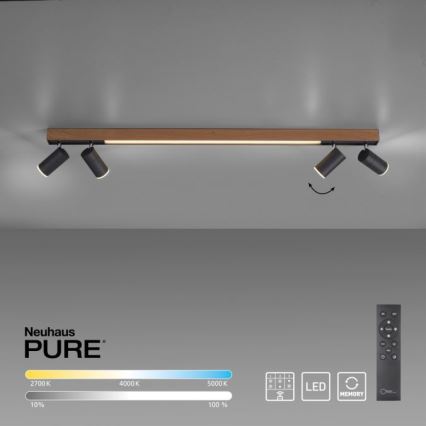 Paul Neuhaus 6121-79 - LED Dimmelhető spotlámpa PURE 4xLED/4W/230V + LED/9W 2700-5000K + távirányítás