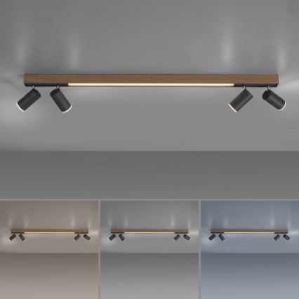 Paul Neuhaus 6121-79 - LED Dimmelhető spotlámpa PURE 4xLED/4W/230V + LED/9W 2700-5000K + távirányítás