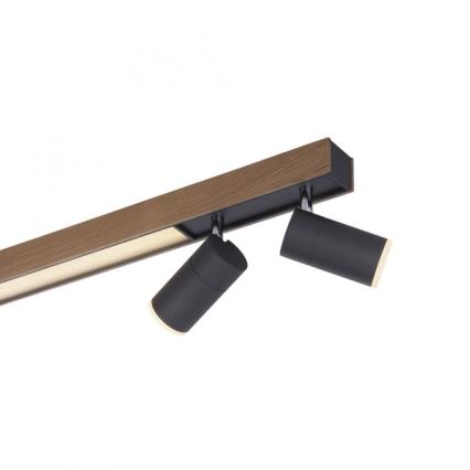 Paul Neuhaus 6121-79 - LED Dimmelhető spotlámpa PURE 4xLED/4W/230V + LED/9W 2700-5000K + távirányítás