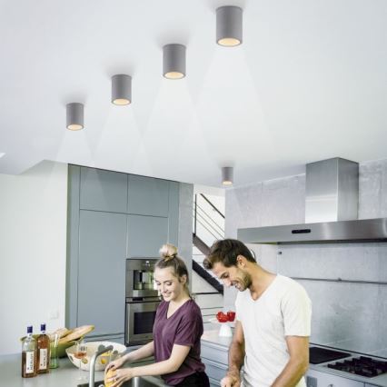 Paul Neuhaus 6160-22 - Spotlámpa ETON 1xGU10/10W/230V beton