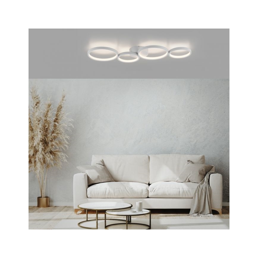 Paul Neuhaus 6183-16 - LED Dimmelhető mennyezeti lámpa KIRINGE LED/26W/230V