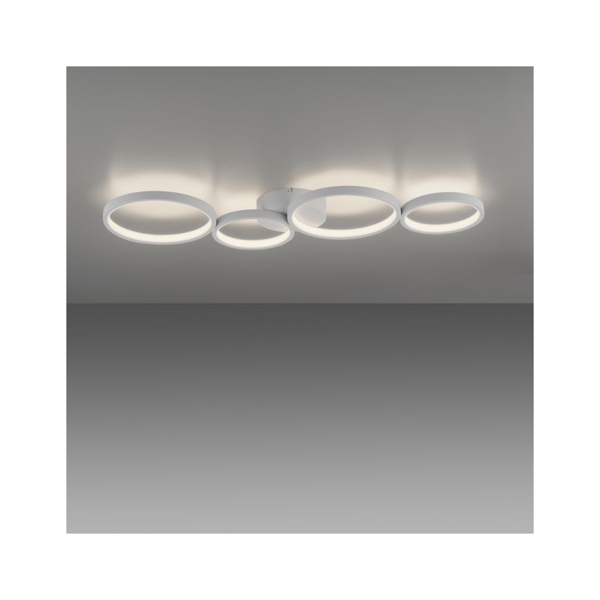Paul Neuhaus 6183-16 - LED Dimmelhető mennyezeti lámpa KIRINGE LED/26W/230V