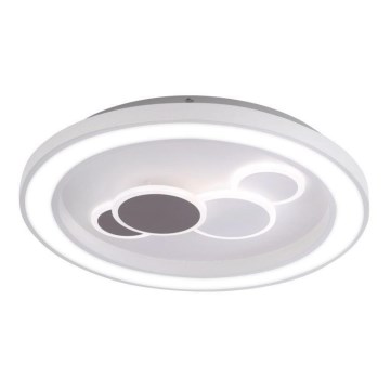 Paul Neuhaus 6284-16 - ELIZA LED mennyezeti lámpa LED/55,5W/230V átm. 60 cm