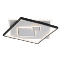 Paul Neuhaus 6390-16 - LED Mennyezeti lámpa MAILAK LED/37W/230V