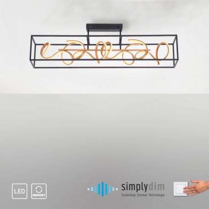 Paul Neuhaus 6473-18 - LED Szabályozható csillár rúdon SELINA 4xLED/10,2W/230V