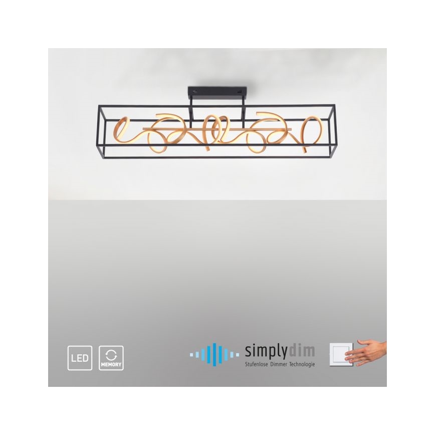 Paul Neuhaus 6473-18 - LED Szabályozható csillár rúdon SELINA 4xLED/10,2W/230V