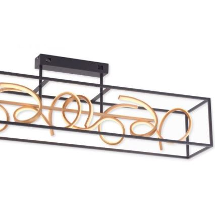 Paul Neuhaus 6473-18 - LED Szabályozható csillár rúdon SELINA 4xLED/10,2W/230V