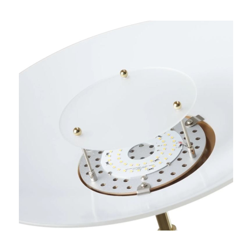 Paul Neuhaus 655-60 - LED fényerőszabályozható állólámpa ALFRED LED/28W/230V+LED/4W/230V sárgaréz