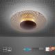 Paul Neuhaus 6551-48 - LED Dimmelhető mennyezeti lámpa NEVIS LED/18W/230V