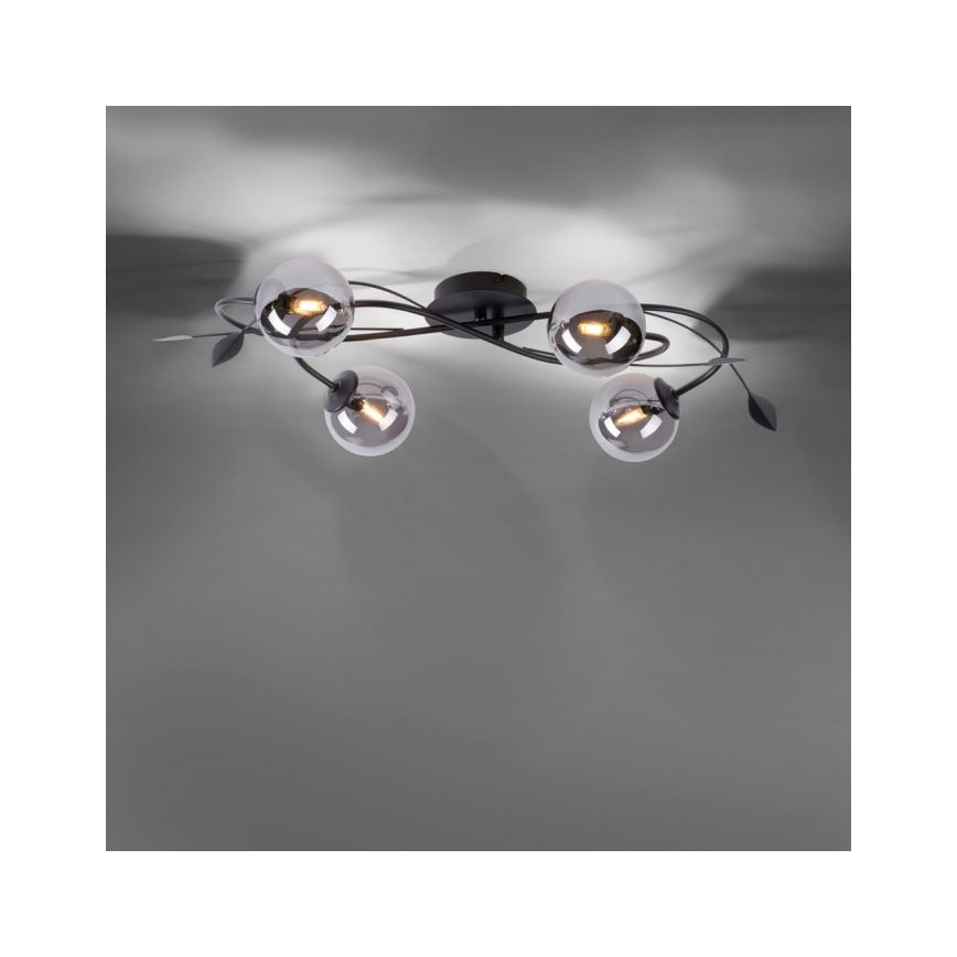 Paul Neuhaus 6724-18 - LED Felületre szerelhető csillár WIDOW 4xG9/3W/230V