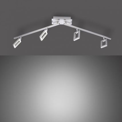 Paul Neuhaus 6960-55 - LED Dimmelhető spotlámpa INIGO 4xLED/4,2W/230V