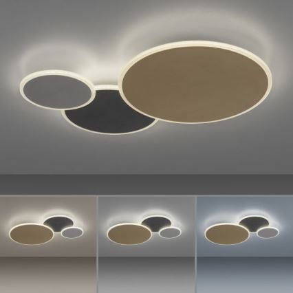 Paul Neuhaus 8007-70 - LED dimmelhető mennyezeti lámpa Q-PIATO LED/35W/230V 2700-5000K Wi-Fi + távirányító