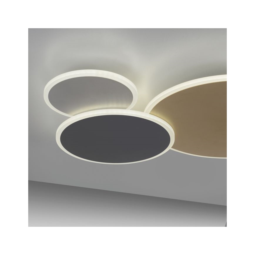 Paul Neuhaus 8007-70 - LED dimmelhető mennyezeti lámpa Q-PIATO LED/35W/230V 2700-5000K Wi-Fi + távirányító