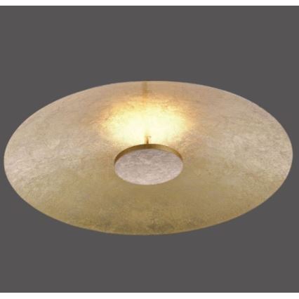 Paul Neuhaus 8132-12 - LED Dimmelhető mennyezeti lámpa PLATE LED/25W/230V