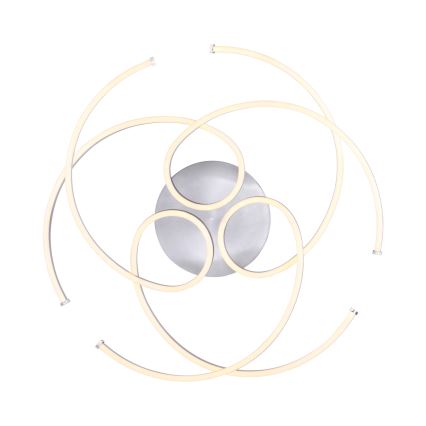 Paul Neuhaus 8165-55 - LED Szabályozható mennyezeti lámpa DANILO 3xLED/12W/230V