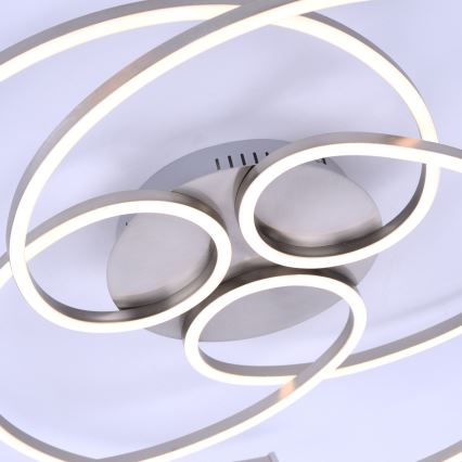 Paul Neuhaus 8165-55 - LED Szabályozható mennyezeti lámpa DANILO 3xLED/12W/230V