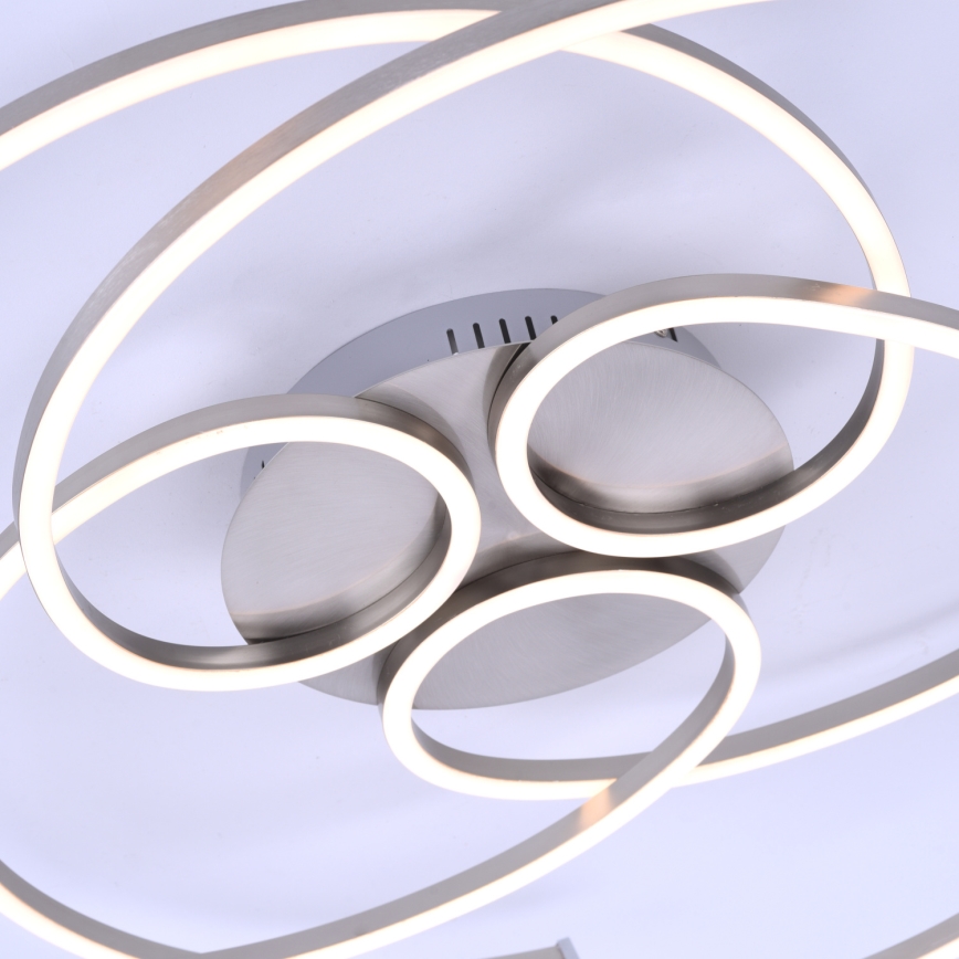 Paul Neuhaus 8165-55 - LED Szabályozható mennyezeti lámpa DANILO 3xLED/12W/230V