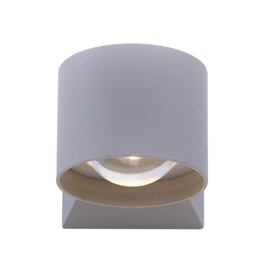 Paul Neuhaus 9441-21 - LED Kültéri fali lámpa TIMO 2xLED/2W/230V IP54