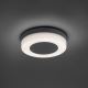 Paul Neuhaus 9490-13 - LED Kültéri lámpa FABIAN LED/12,6W/230V IP54