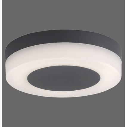 Paul Neuhaus 9490-13 - LED Kültéri lámpa FABIAN LED/12,6W/230V IP54