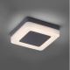 Paul Neuhaus 9491-13 - LED Kültéri lámpa FABIAN LED/12,6W/230V IP54