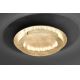 Paul Neuhaus 9621-12 - LED Mennyezeti lámpa NEVIS LED/24W/230V