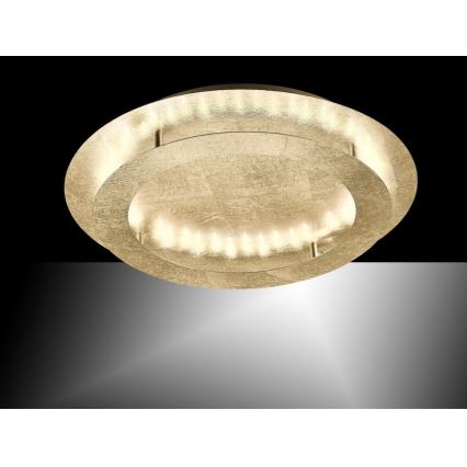 Paul Neuhaus 9621-12 - LED Mennyezeti lámpa NEVIS LED/24W/230V