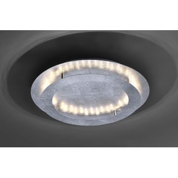 Paul Neuhaus 9621-21 - LED Mennyezeti lámpa NEVIS LED/24W/230V