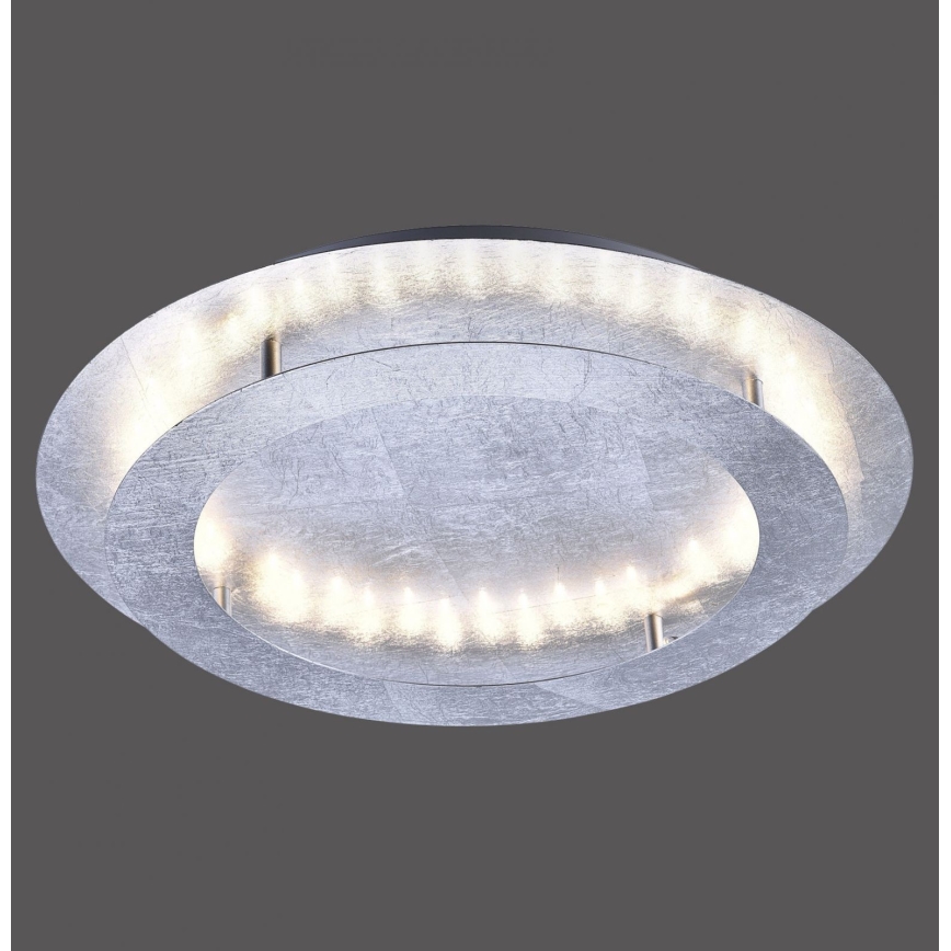 Paul Neuhaus 9621-21 - LED Mennyezeti lámpa NEVIS LED/24W/230V