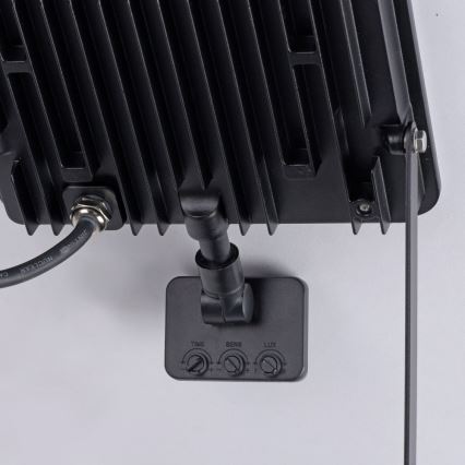 Paul Neuhaus 9639-18 - LED Kültéri reflektor ROMY LED/50W/230V IP65