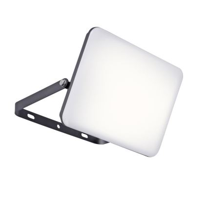 Paul Neuhaus 9639-18 - LED Kültéri reflektor ROMY LED/50W/230V IP65