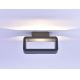 Paul Neuhaus 9668-13 - LED Kültéri fali lámpa HENDRIK LED/5,2W/230V IP54