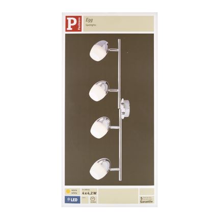 Paulmann 60331 - 4xLED/4,2W Spotlámpa EGG 230V