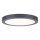 Paulmann 70988 - LED/22W Mennyezeti lámpa ABIA 230V antracit