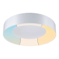 Paulmann 78947 - LED/23W IP44 Fürdőszobai mennyezeti lámpa CASCA 230V