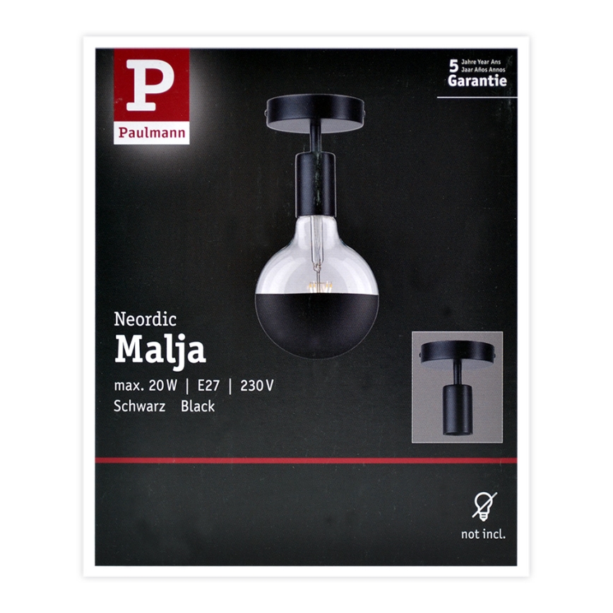 Paulmann 79760 - Mennyezeti lámpa HALDOR 1xE27/20W/230V