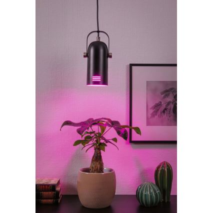 Paulmann 79766 - LED RGBW 1xE27/9W kábeles csillár LAVEA 230V fekete