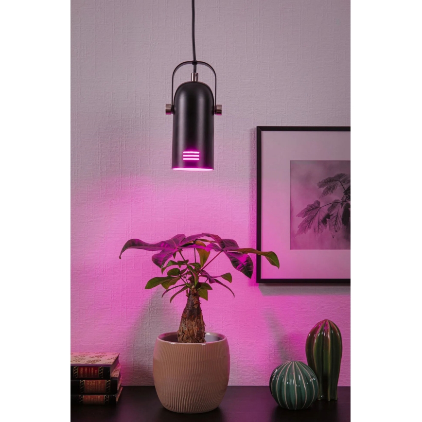 Paulmann 79766 - LED RGBW 1xE27/9W kábeles csillár LAVEA 230V fekete