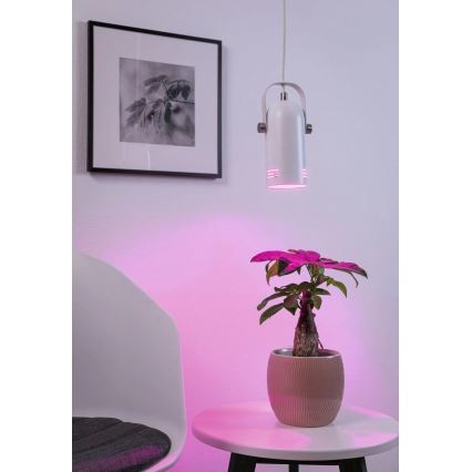 Paulmann 79767 - LED RGBW 1xE27/9W Kábeles függeszték LAVEA 230V fehér