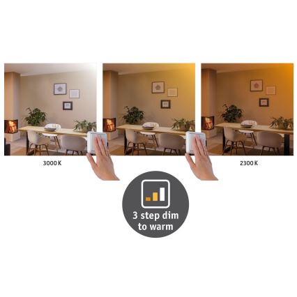 Paulmann 79799 - LED/19W Mennyezeti lámpa CARPO 230V 2300/2500/3000K