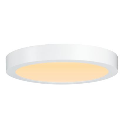 Paulmann 79799 - LED/19W Mennyezeti lámpa CARPO 230V 2300/2500/3000K
